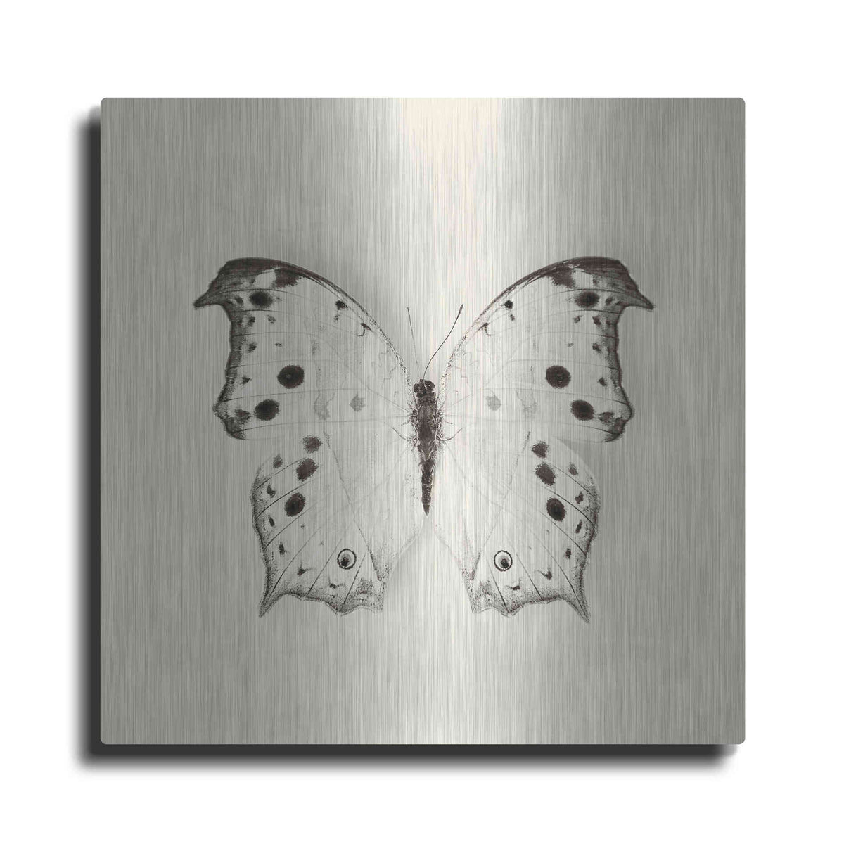 Luxe Metal Art 'Butterfly IV B&W' by Debra Van Swearingen, Metal Wall Art