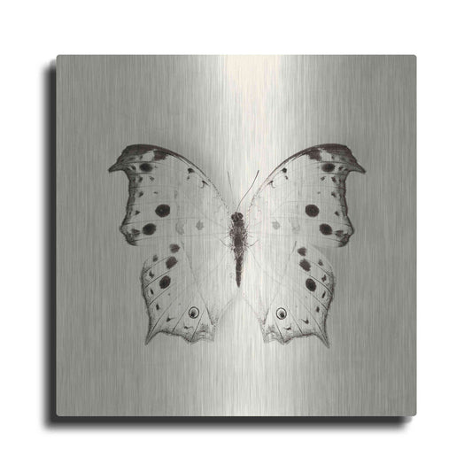 Luxe Metal Art 'Butterfly IV B&W' by Debra Van Swearingen, Metal Wall Art