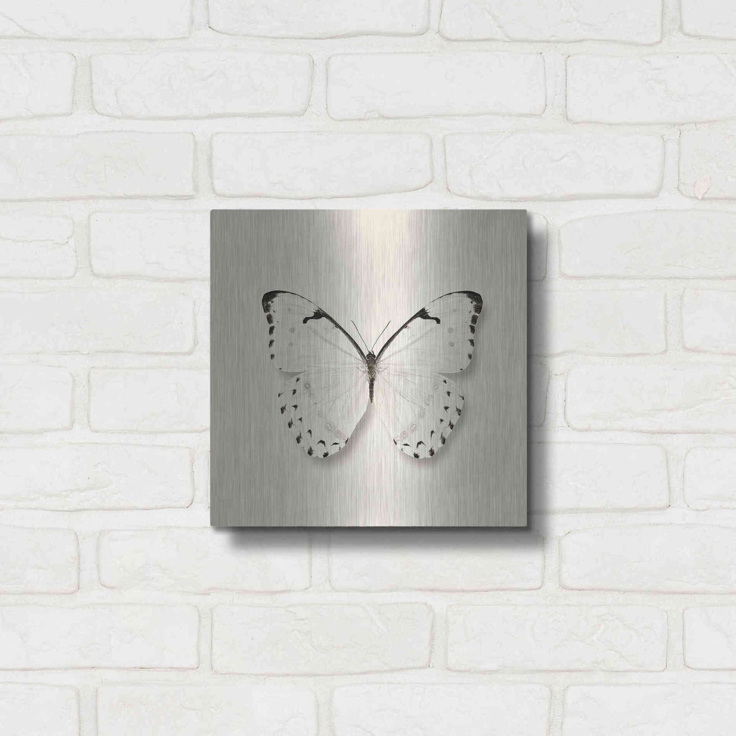 Luxe Metal Art 'Butterfly II B&W' by Debra Van Swearingen, Metal Wall Art,12x12