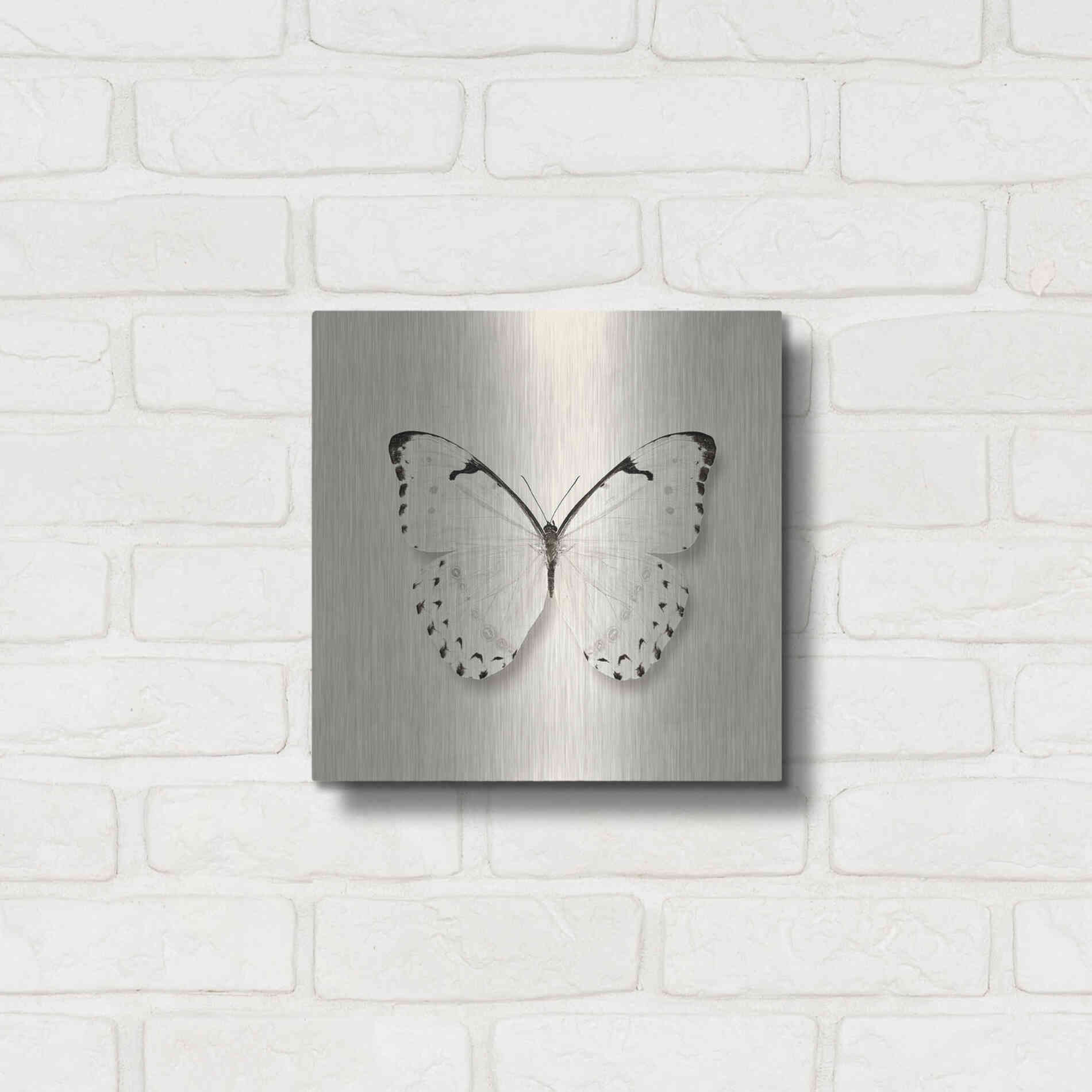 Luxe Metal Art 'Butterfly II B&W' by Debra Van Swearingen, Metal Wall Art,12x12