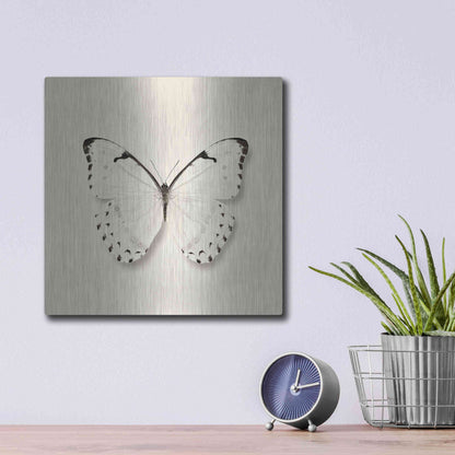 Luxe Metal Art 'Butterfly II B&W' by Debra Van Swearingen, Metal Wall Art,12x12