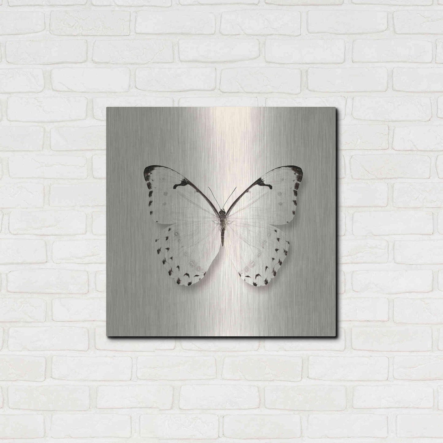 Luxe Metal Art 'Butterfly II B&W' by Debra Van Swearingen, Metal Wall Art,24x24
