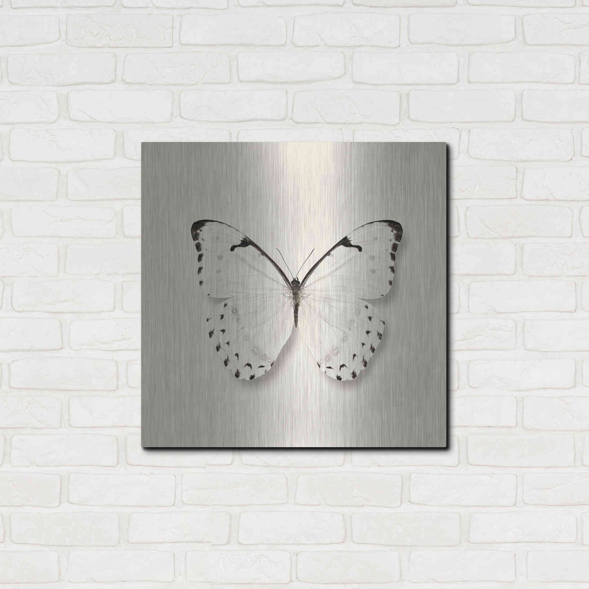 Luxe Metal Art 'Butterfly II B&W' by Debra Van Swearingen, Metal Wall Art,24x24