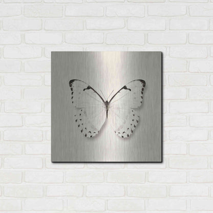 Luxe Metal Art 'Butterfly II B&W' by Debra Van Swearingen, Metal Wall Art,24x24
