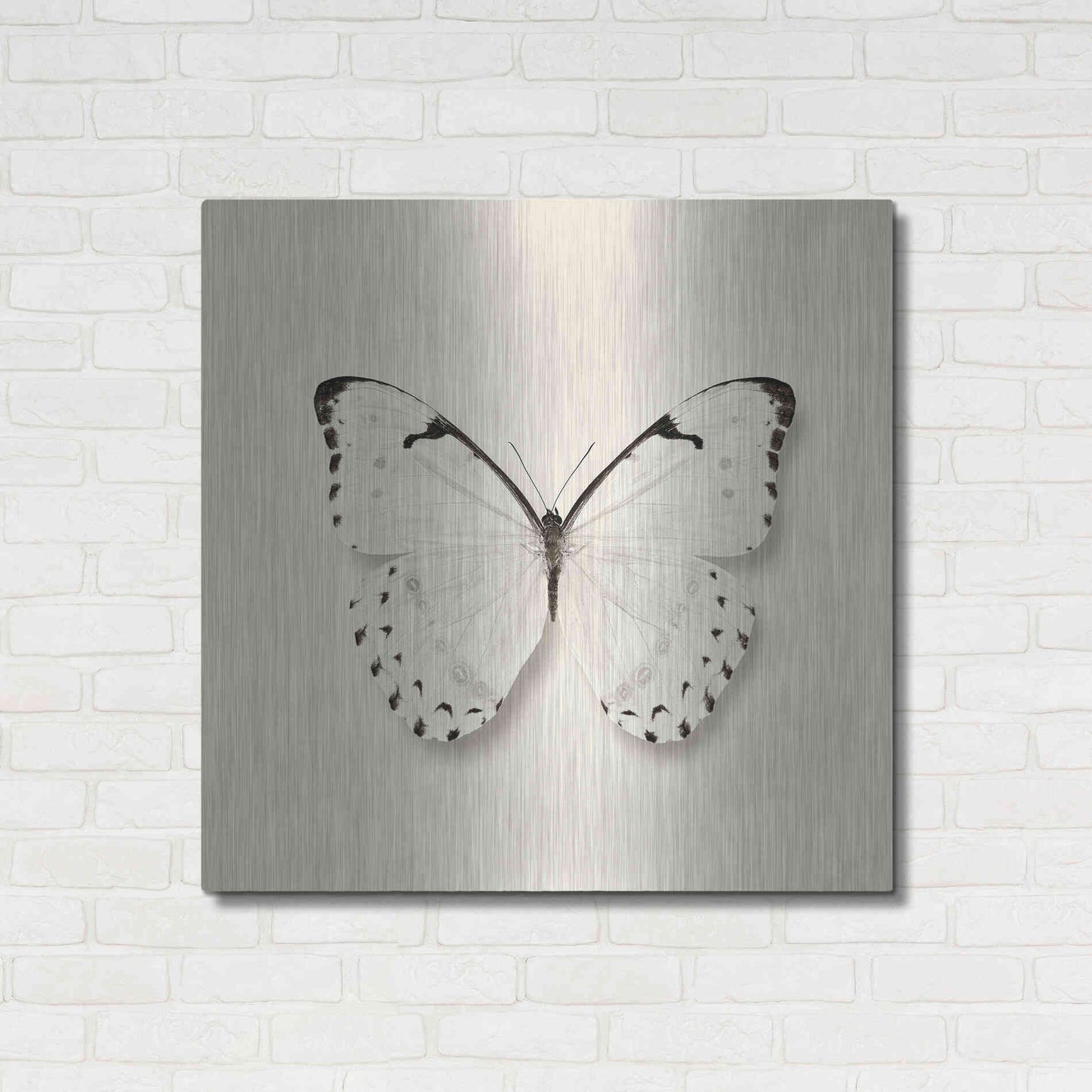 Luxe Metal Art 'Butterfly II B&W' by Debra Van Swearingen, Metal Wall Art,36x36