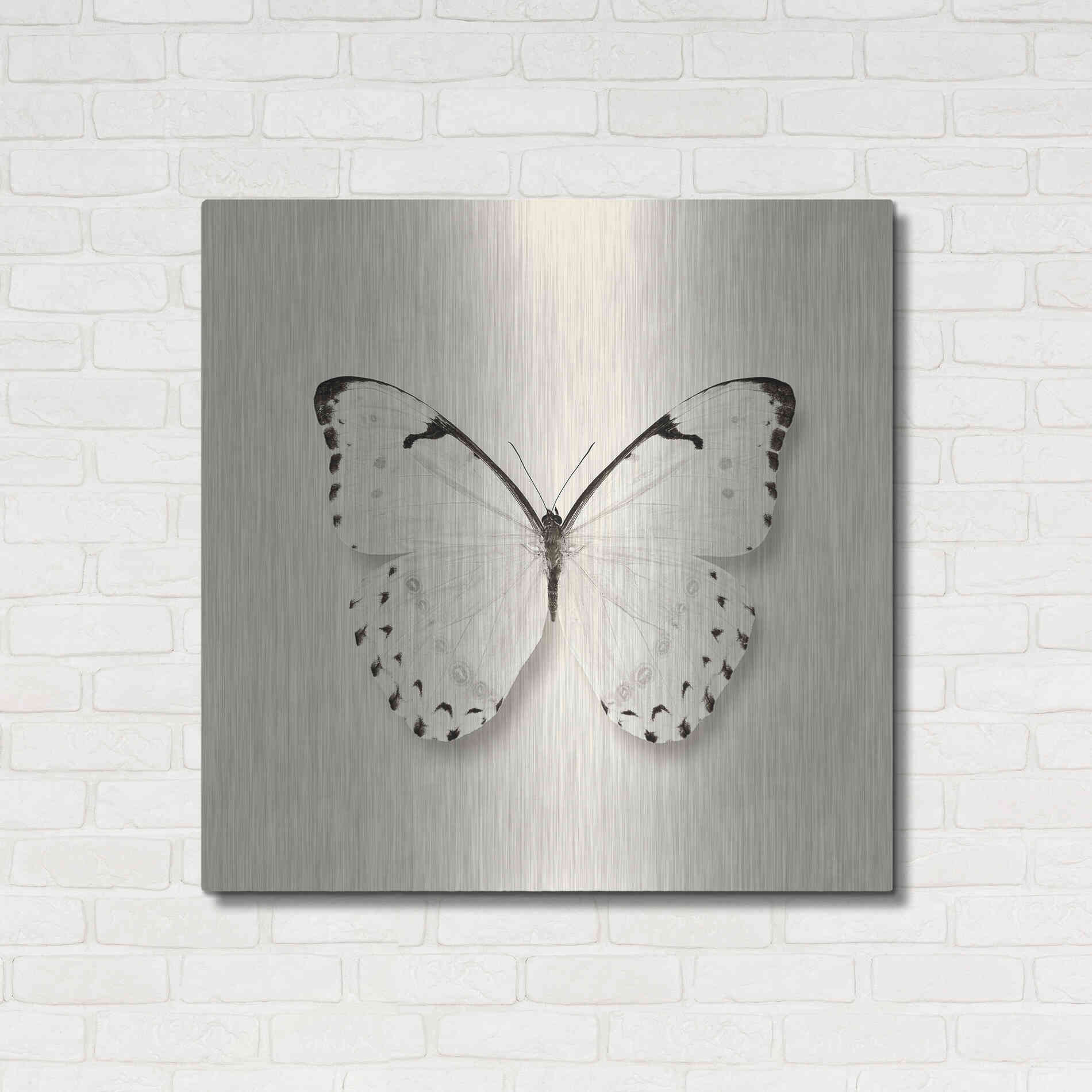 Luxe Metal Art 'Butterfly II B&W' by Debra Van Swearingen, Metal Wall Art,36x36