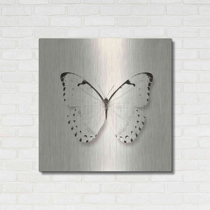 Luxe Metal Art 'Butterfly II B&W' by Debra Van Swearingen, Metal Wall Art,36x36