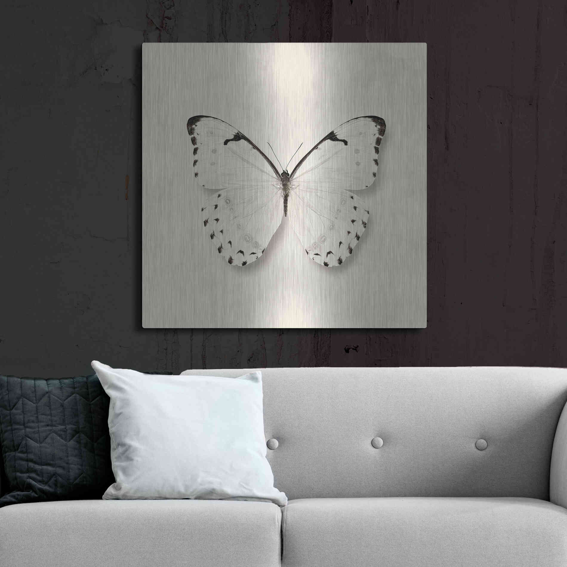 Luxe Metal Art 'Butterfly II B&W' by Debra Van Swearingen, Metal Wall Art,36x36