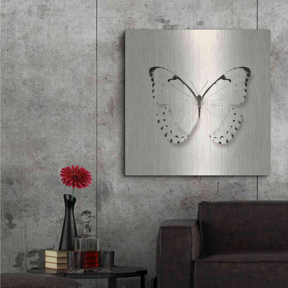Luxe Metal Art 'Butterfly II B&W' by Debra Van Swearingen, Metal Wall Art,36x36