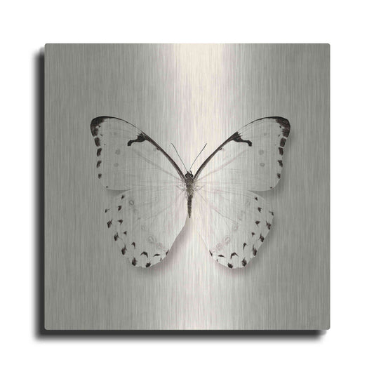 Luxe Metal Art 'Butterfly II B&W' by Debra Van Swearingen, Metal Wall Art