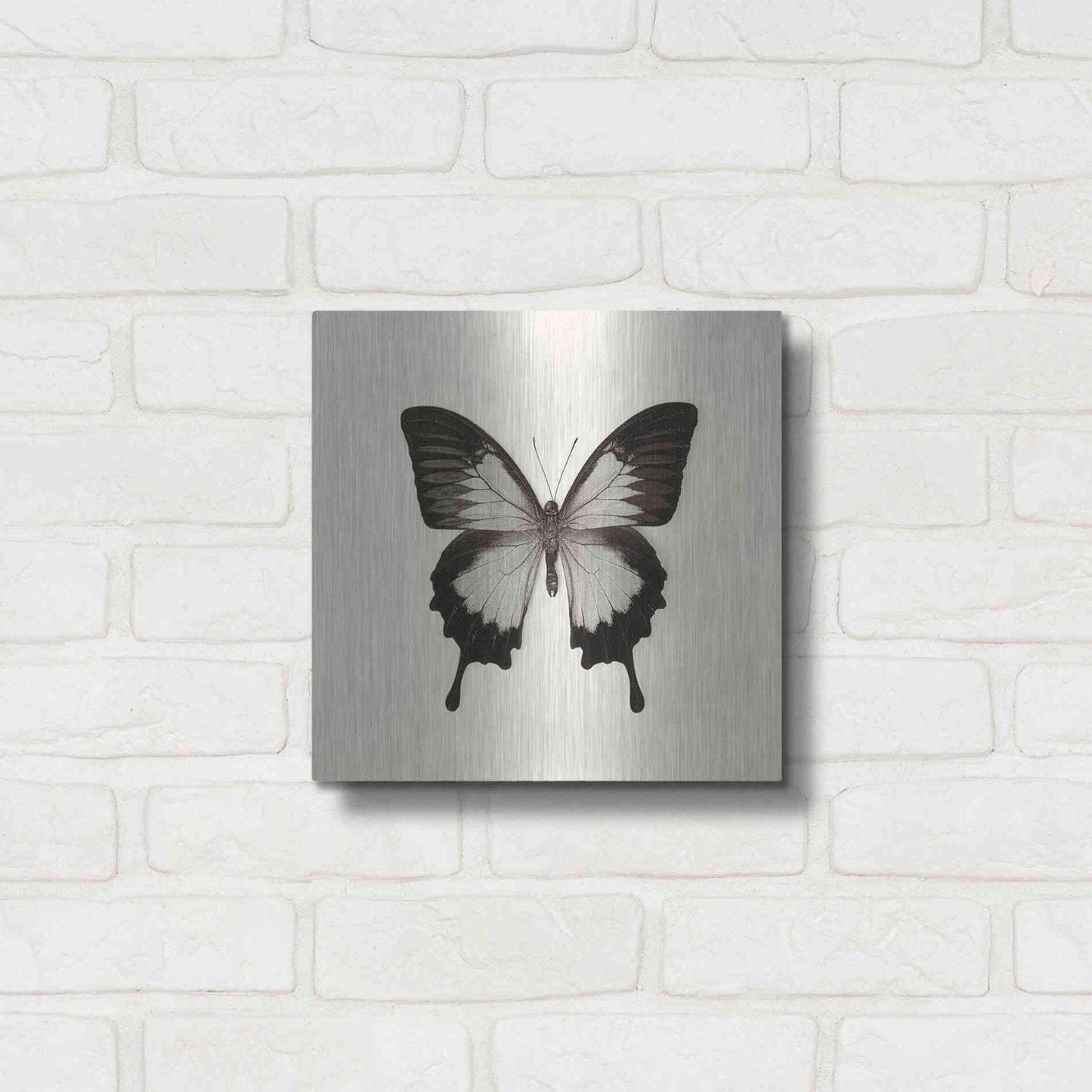 Luxe Metal Art 'Butterfly III B&W' by Debra Van Swearingen, Metal Wall Art,12x12