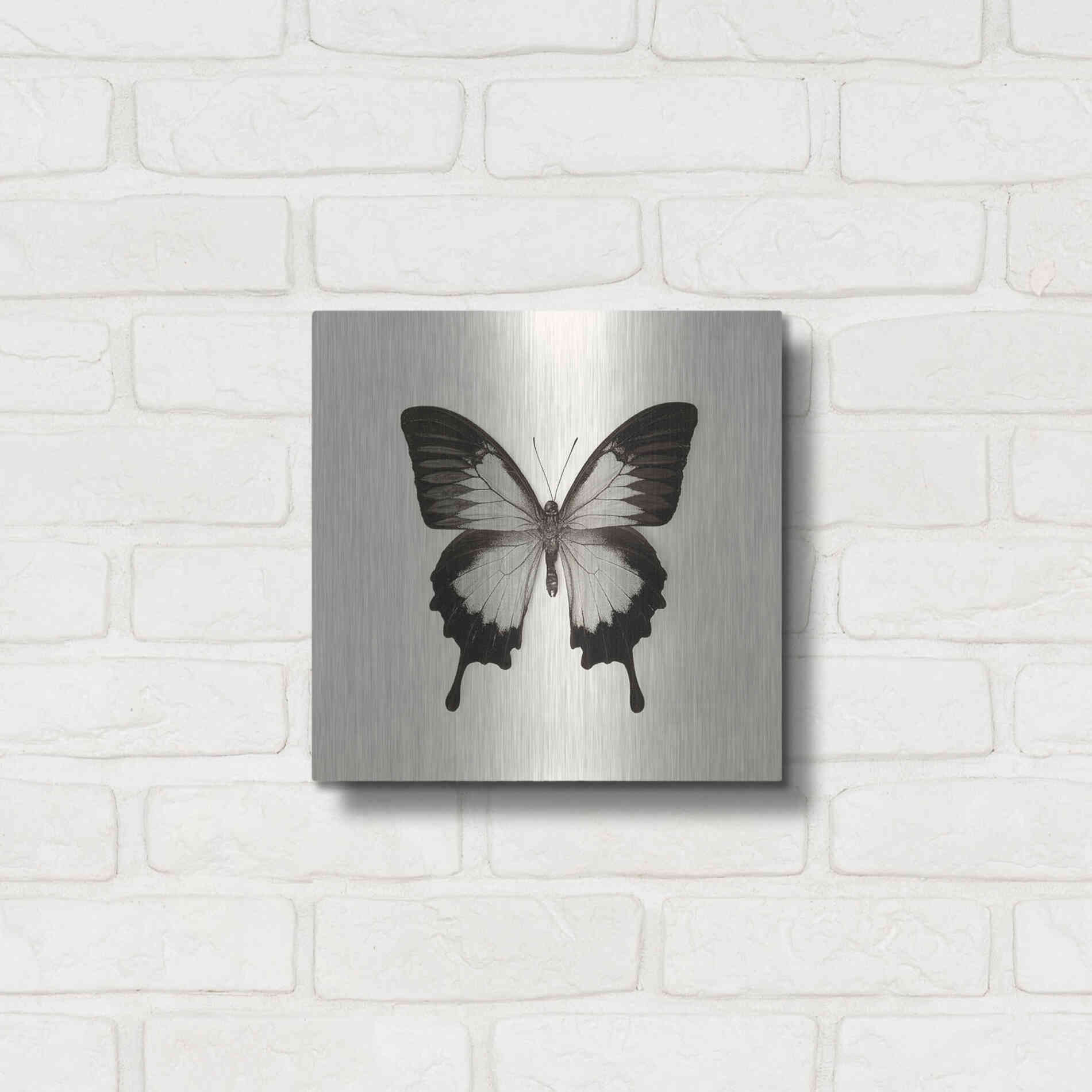 Luxe Metal Art 'Butterfly III B&W' by Debra Van Swearingen, Metal Wall Art,12x12
