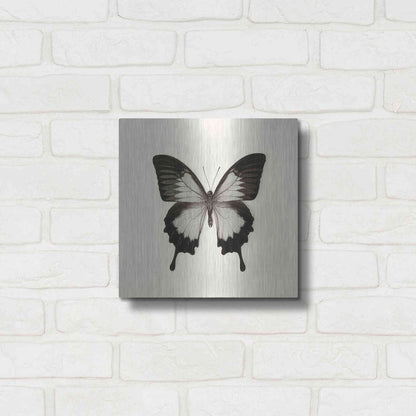 Luxe Metal Art 'Butterfly III B&W' by Debra Van Swearingen, Metal Wall Art,12x12