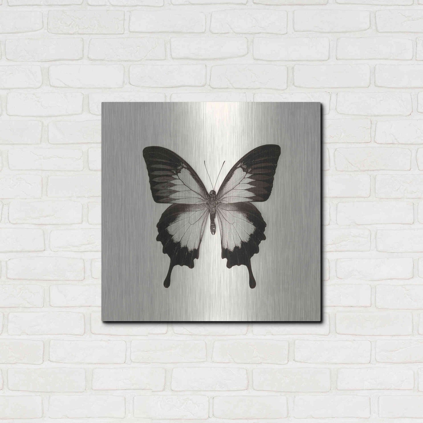 Luxe Metal Art 'Butterfly III B&W' by Debra Van Swearingen, Metal Wall Art,24x24