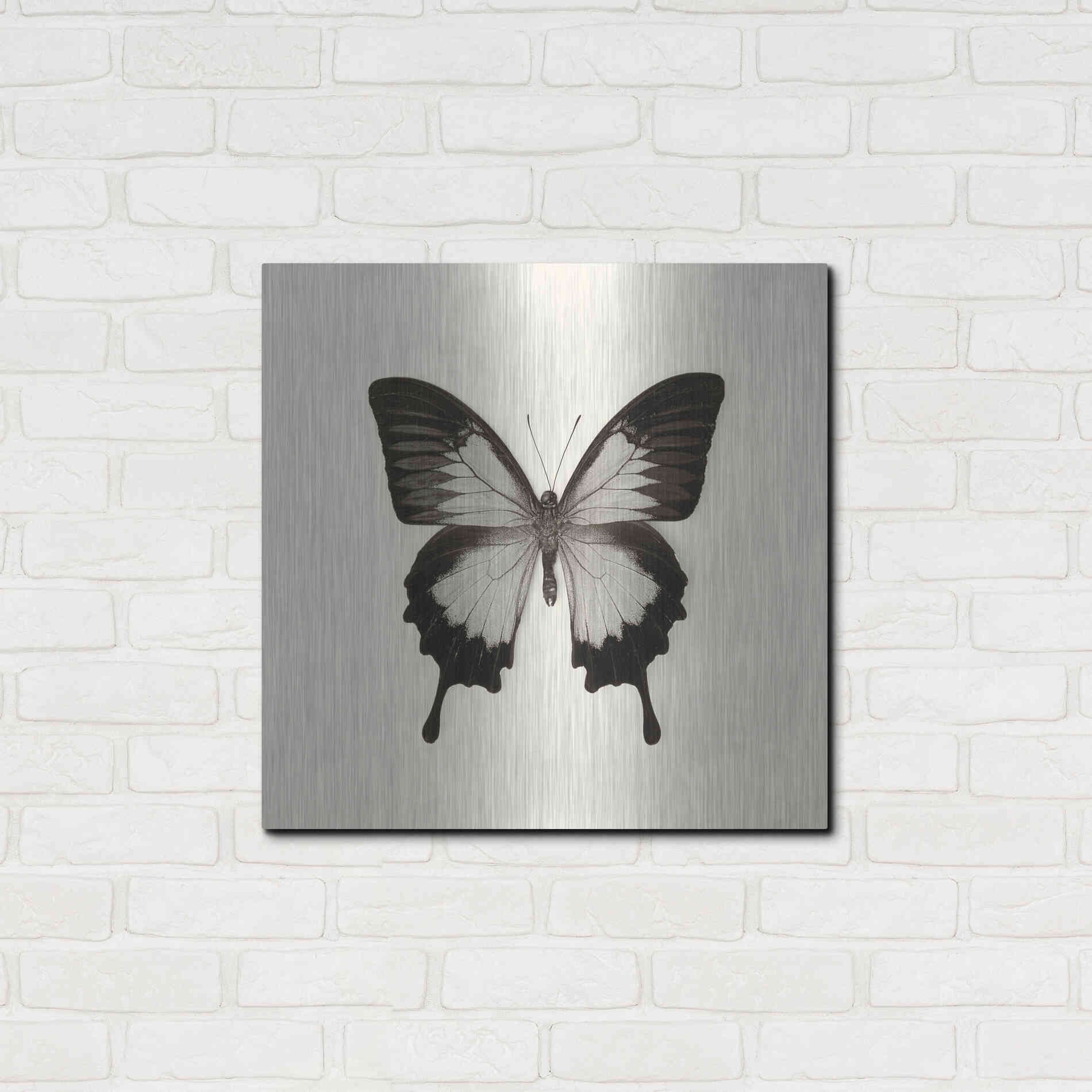 Luxe Metal Art 'Butterfly III B&W' by Debra Van Swearingen, Metal Wall Art,24x24