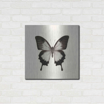 Luxe Metal Art 'Butterfly III B&W' by Debra Van Swearingen, Metal Wall Art,24x24