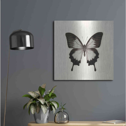 Luxe Metal Art 'Butterfly III B&W' by Debra Van Swearingen, Metal Wall Art,24x24