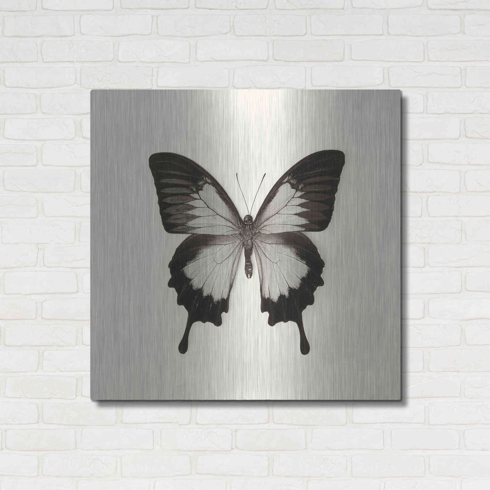 Luxe Metal Art 'Butterfly III B&W' by Debra Van Swearingen, Metal Wall Art,36x36