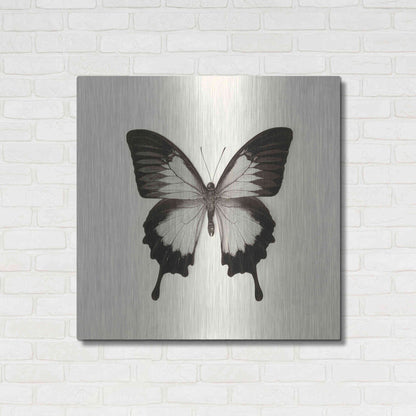 Luxe Metal Art 'Butterfly III B&W' by Debra Van Swearingen, Metal Wall Art,36x36