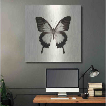 Luxe Metal Art 'Butterfly III B&W' by Debra Van Swearingen, Metal Wall Art,36x36