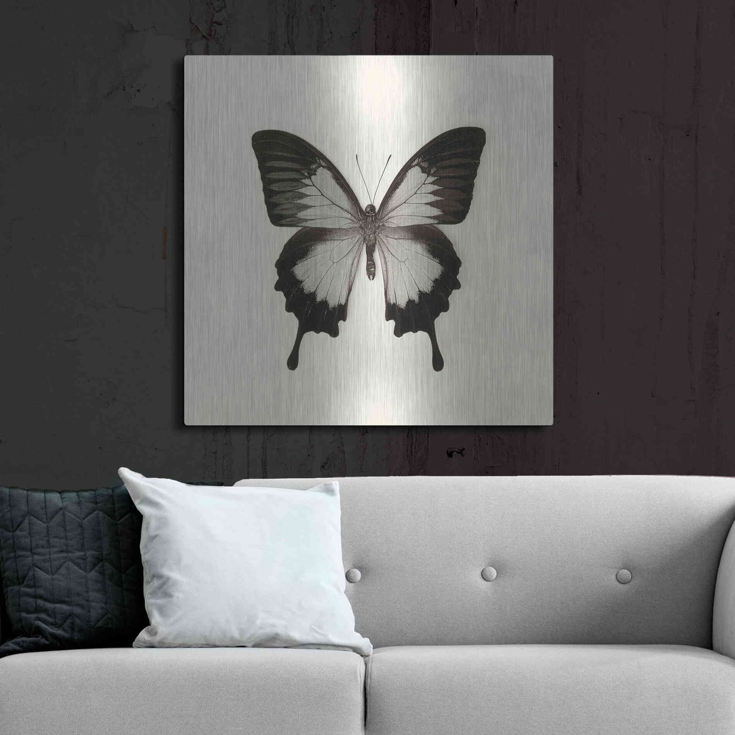 Luxe Metal Art 'Butterfly III B&W' by Debra Van Swearingen, Metal Wall Art,36x36