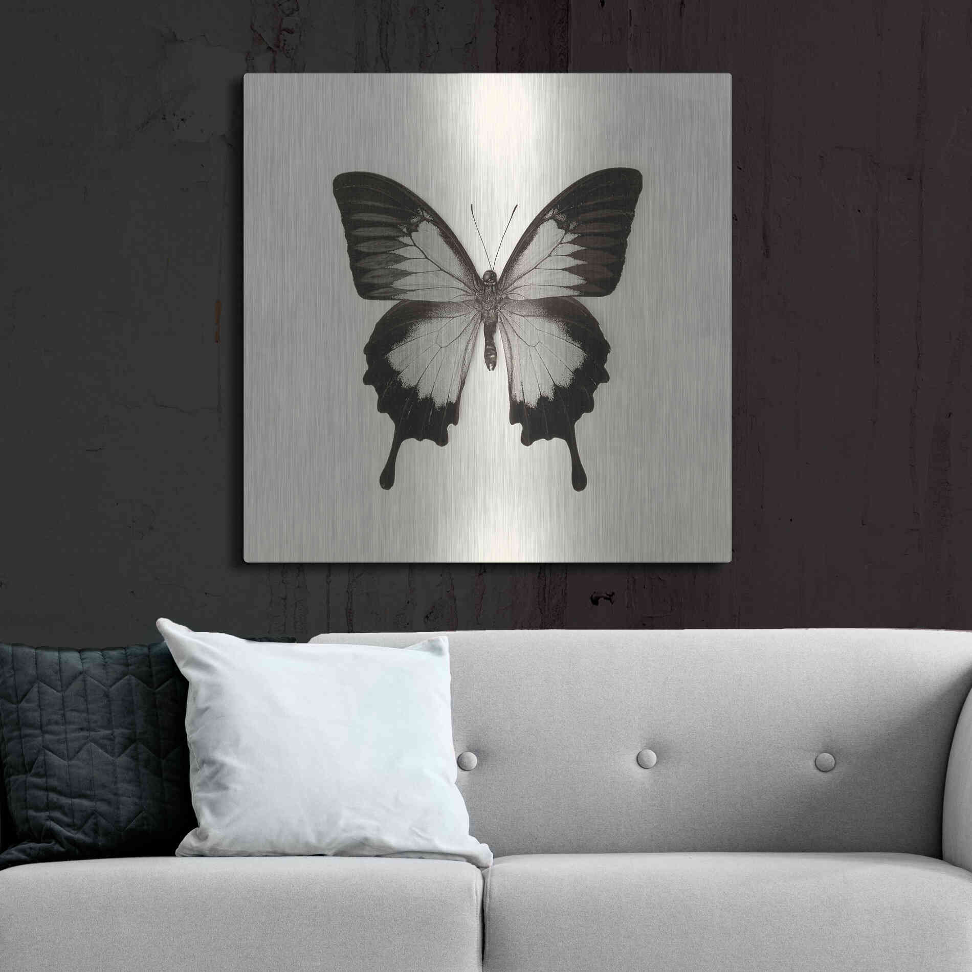 Luxe Metal Art 'Butterfly III B&W' by Debra Van Swearingen, Metal Wall Art,36x36