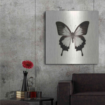 Luxe Metal Art 'Butterfly III B&W' by Debra Van Swearingen, Metal Wall Art,36x36