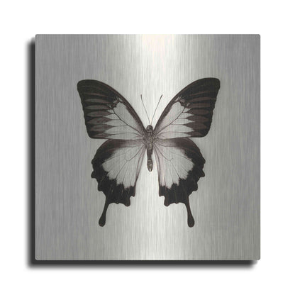 Luxe Metal Art 'Butterfly III B&W' by Debra Van Swearingen, Metal Wall Art