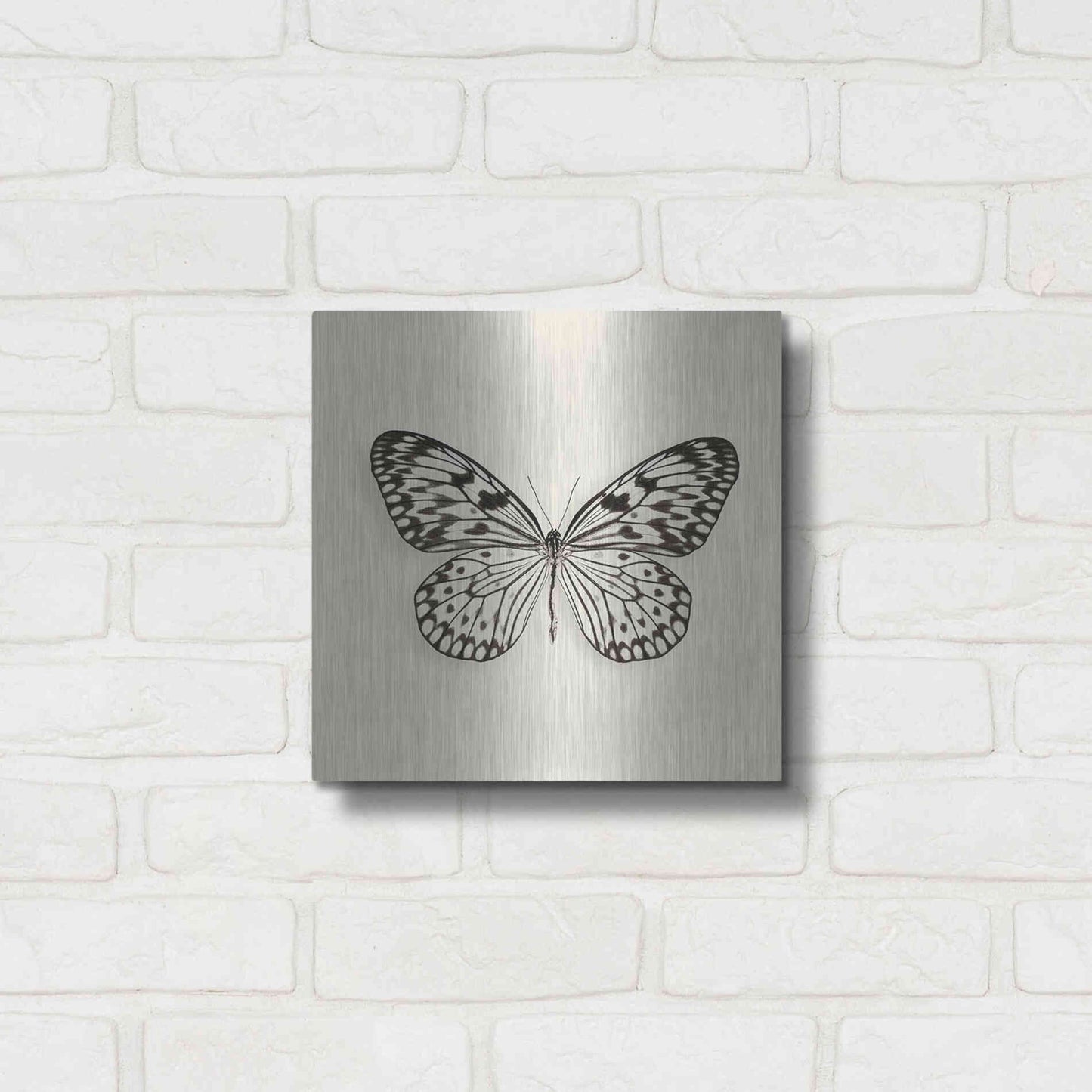 Luxe Metal Art 'Butterfly V B&W' by Debra Van Swearingen, Metal Wall Art,12x12