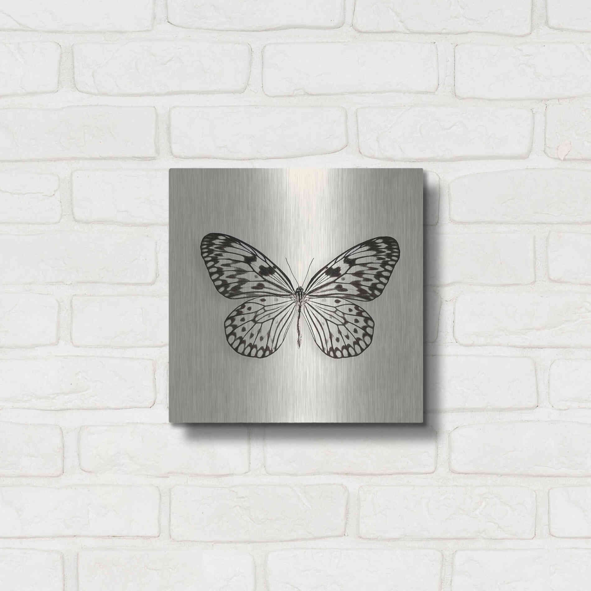 Luxe Metal Art 'Butterfly V B&W' by Debra Van Swearingen, Metal Wall Art,12x12