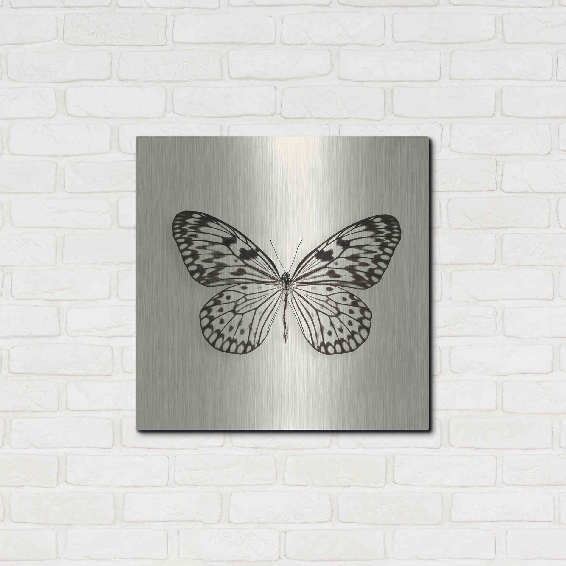 Luxe Metal Art 'Butterfly V B&W' by Debra Van Swearingen, Metal Wall Art,24x24