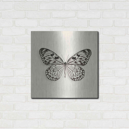 Luxe Metal Art 'Butterfly V B&W' by Debra Van Swearingen, Metal Wall Art,24x24