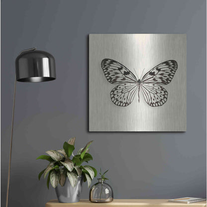 Luxe Metal Art 'Butterfly V B&W' by Debra Van Swearingen, Metal Wall Art,24x24