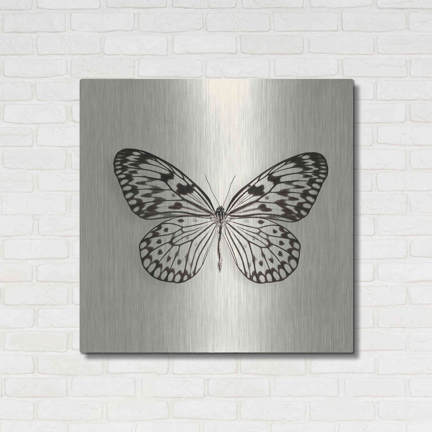 Luxe Metal Art 'Butterfly V B&W' by Debra Van Swearingen, Metal Wall Art,36x36