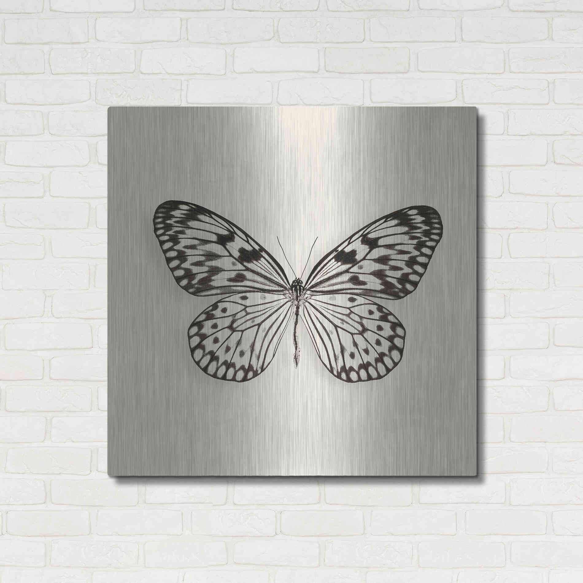 Luxe Metal Art 'Butterfly V B&W' by Debra Van Swearingen, Metal Wall Art,36x36