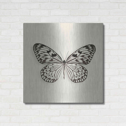 Luxe Metal Art 'Butterfly V B&W' by Debra Van Swearingen, Metal Wall Art,36x36
