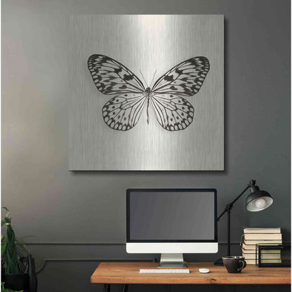 Luxe Metal Art 'Butterfly V B&W' by Debra Van Swearingen, Metal Wall Art,36x36