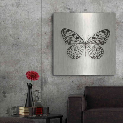 Luxe Metal Art 'Butterfly V B&W' by Debra Van Swearingen, Metal Wall Art,36x36