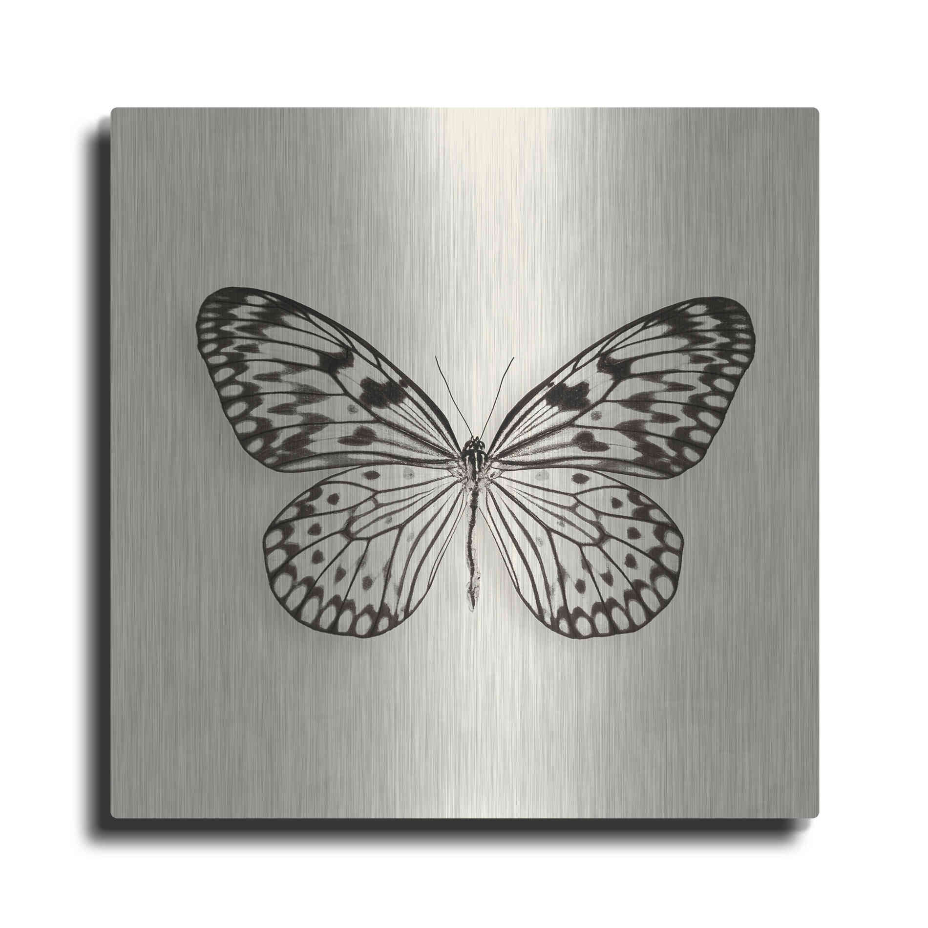 Luxe Metal Art 'Butterfly V B&W' by Debra Van Swearingen, Metal Wall Art