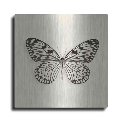 Luxe Metal Art 'Butterfly V B&W' by Debra Van Swearingen, Metal Wall Art