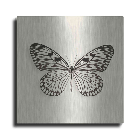 Luxe Metal Art 'Butterfly V B&W' by Debra Van Swearingen, Metal Wall Art