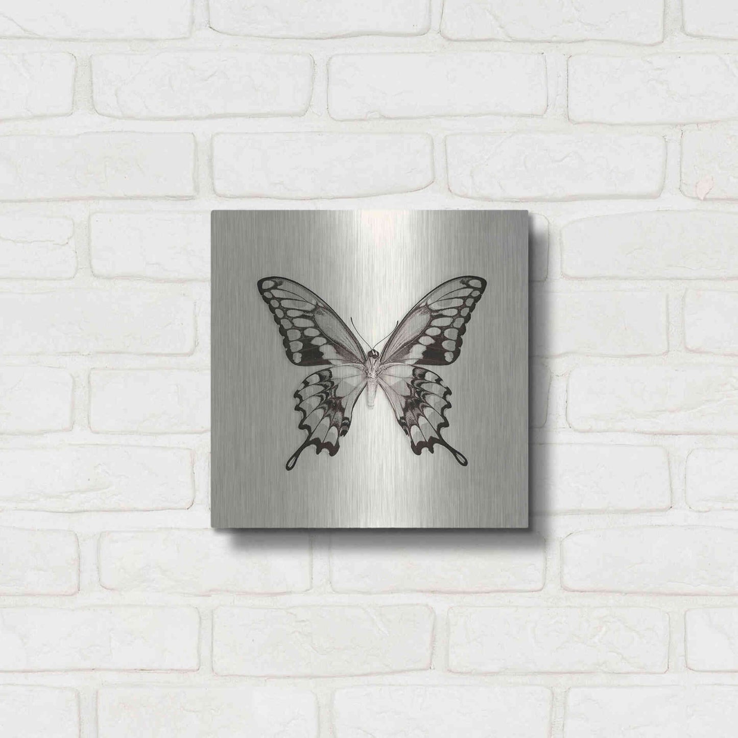 Luxe Metal Art 'Butterfly VI B&W' by Debra Van Swearingen, Metal Wall Art,12x12