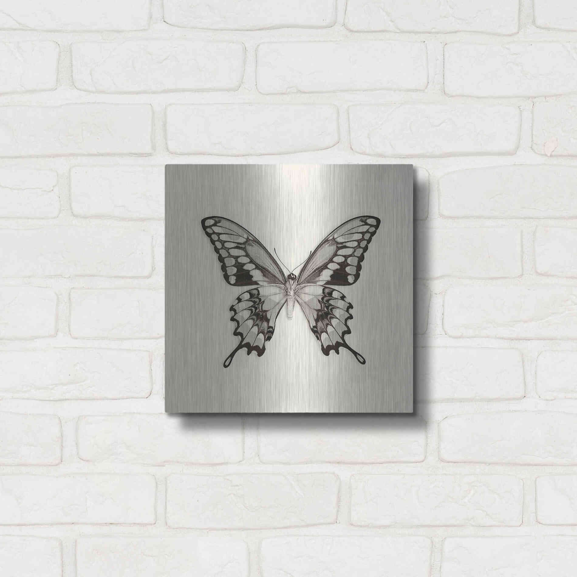 Luxe Metal Art 'Butterfly VI B&W' by Debra Van Swearingen, Metal Wall Art,12x12