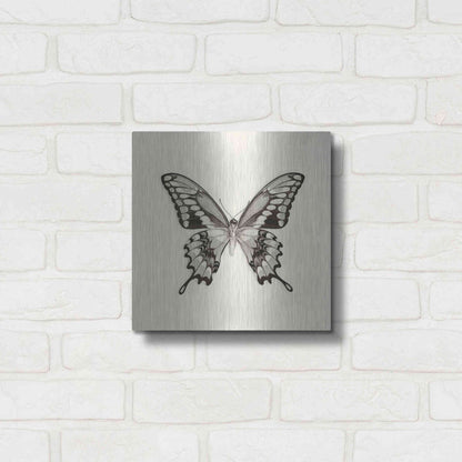 Luxe Metal Art 'Butterfly VI B&W' by Debra Van Swearingen, Metal Wall Art,12x12