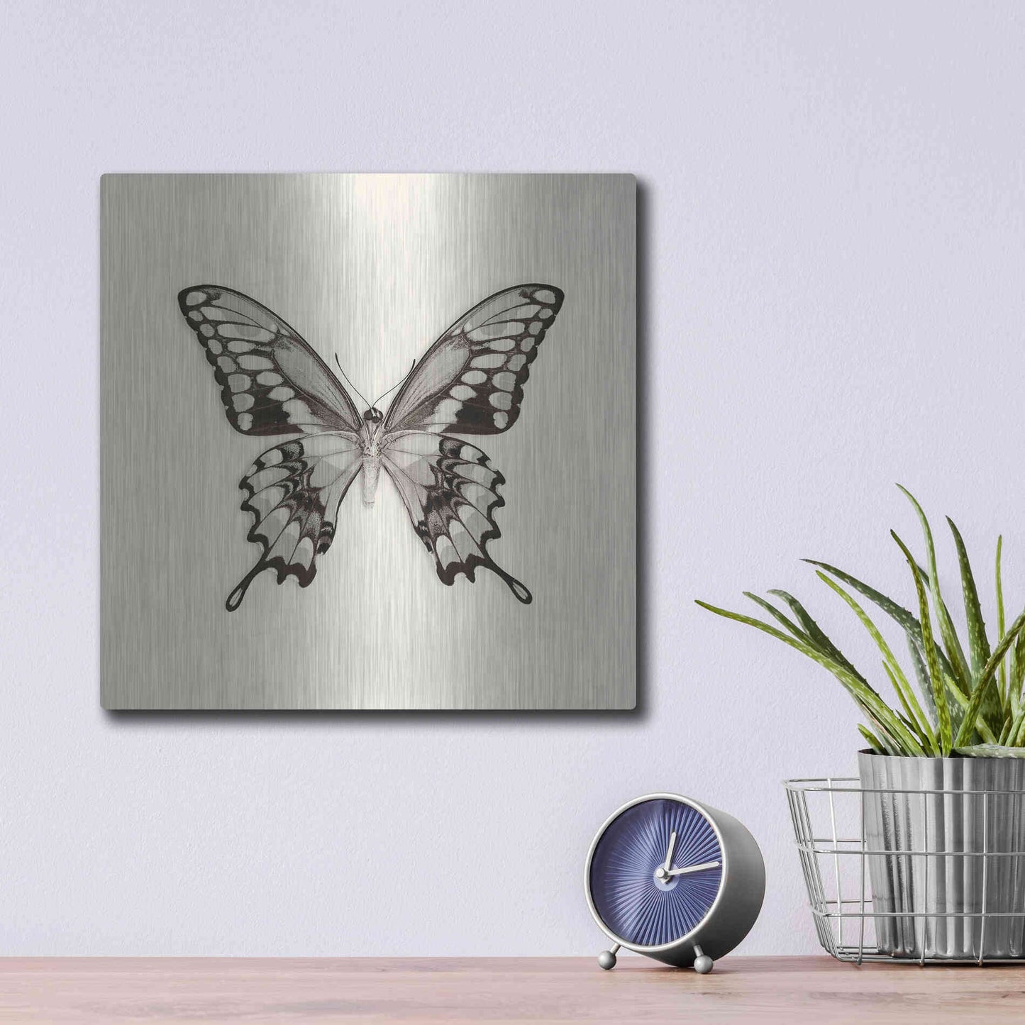 Luxe Metal Art 'Butterfly VI B&W' by Debra Van Swearingen, Metal Wall Art,12x12