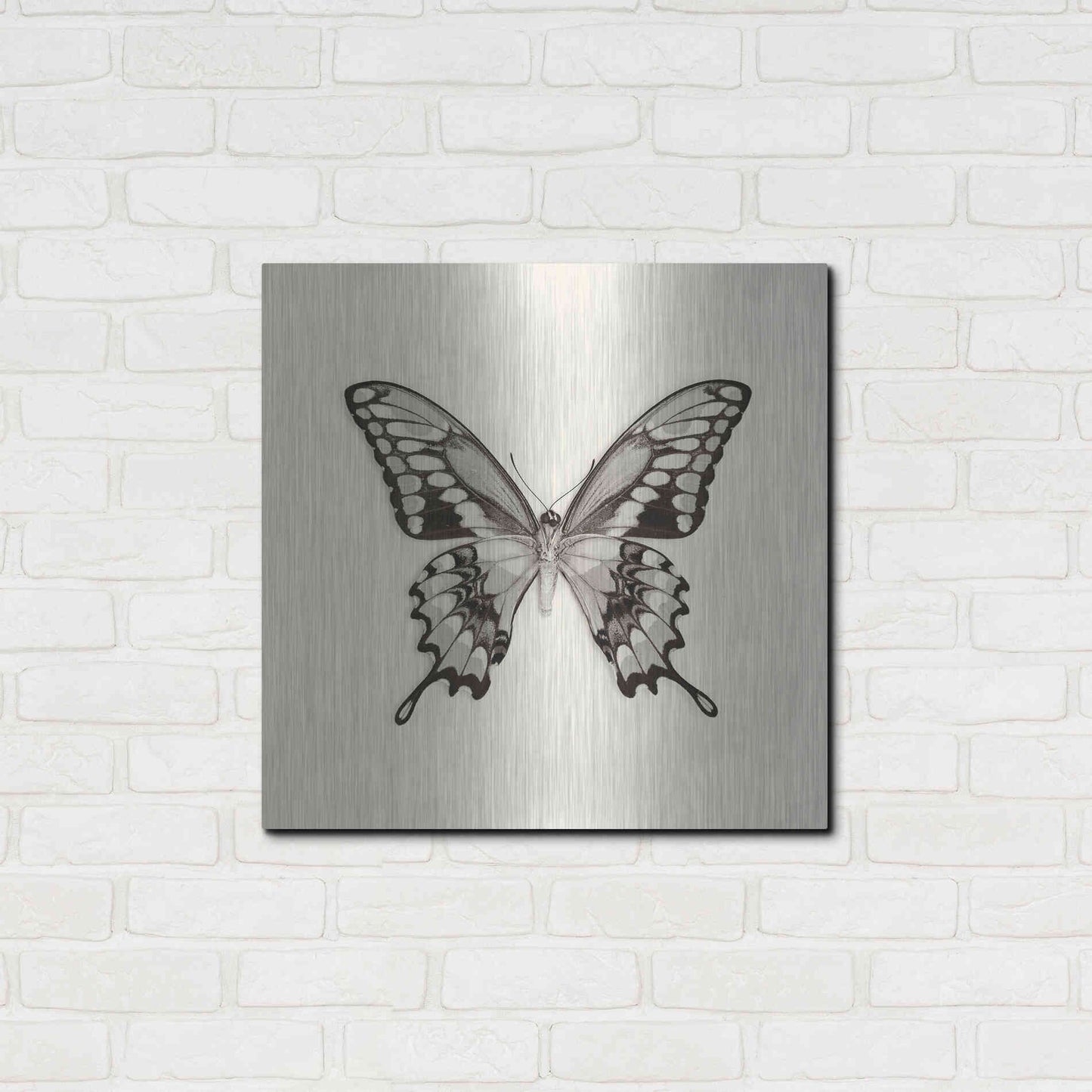 Luxe Metal Art 'Butterfly VI B&W' by Debra Van Swearingen, Metal Wall Art,24x24