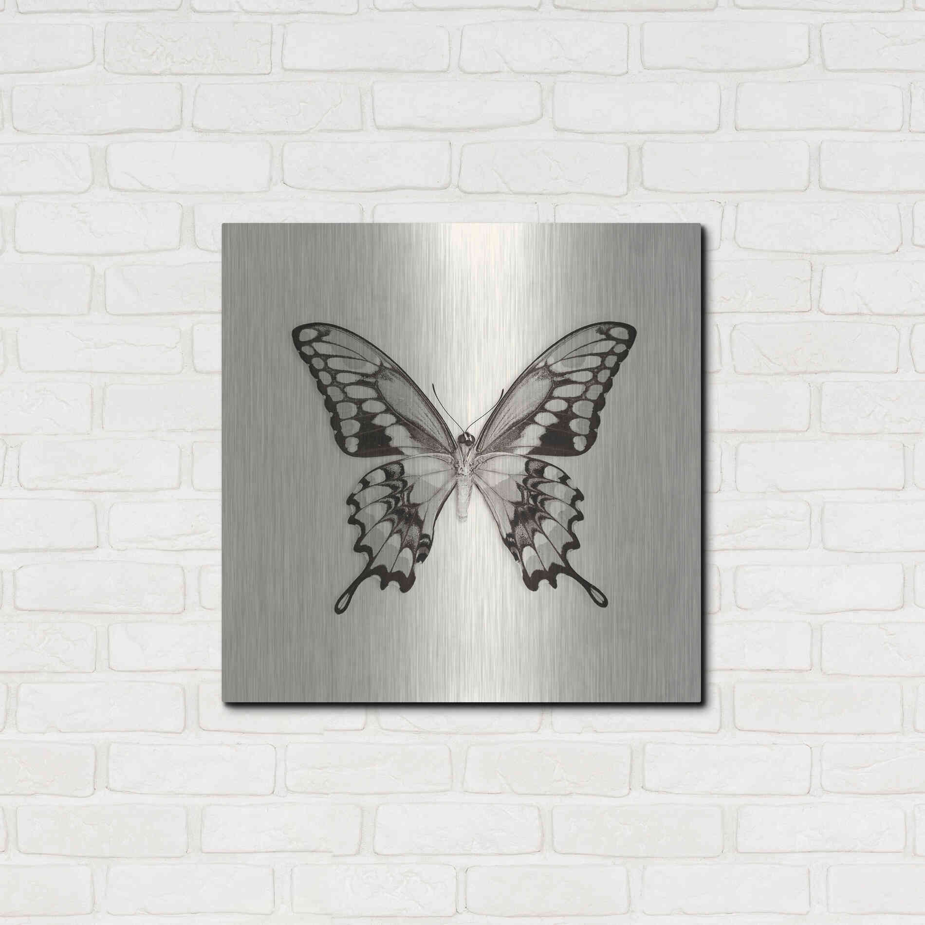 Luxe Metal Art 'Butterfly VI B&W' by Debra Van Swearingen, Metal Wall Art,24x24
