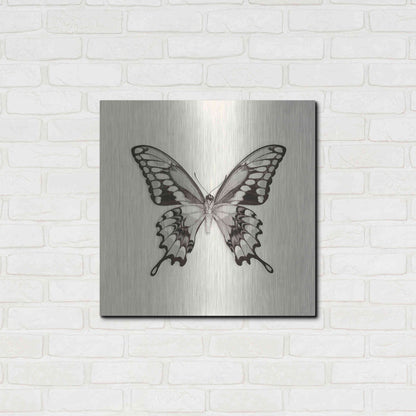 Luxe Metal Art 'Butterfly VI B&W' by Debra Van Swearingen, Metal Wall Art,24x24