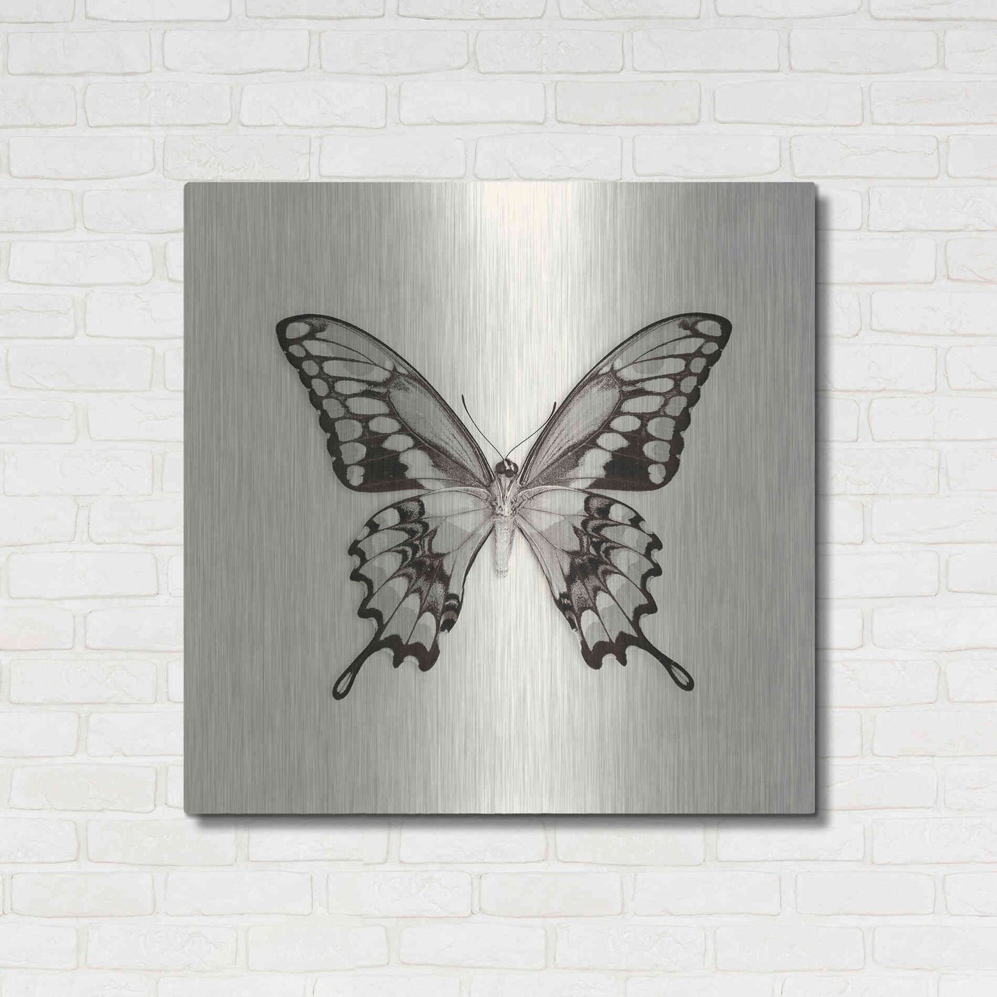 Luxe Metal Art 'Butterfly VI B&W' by Debra Van Swearingen, Metal Wall Art,36x36