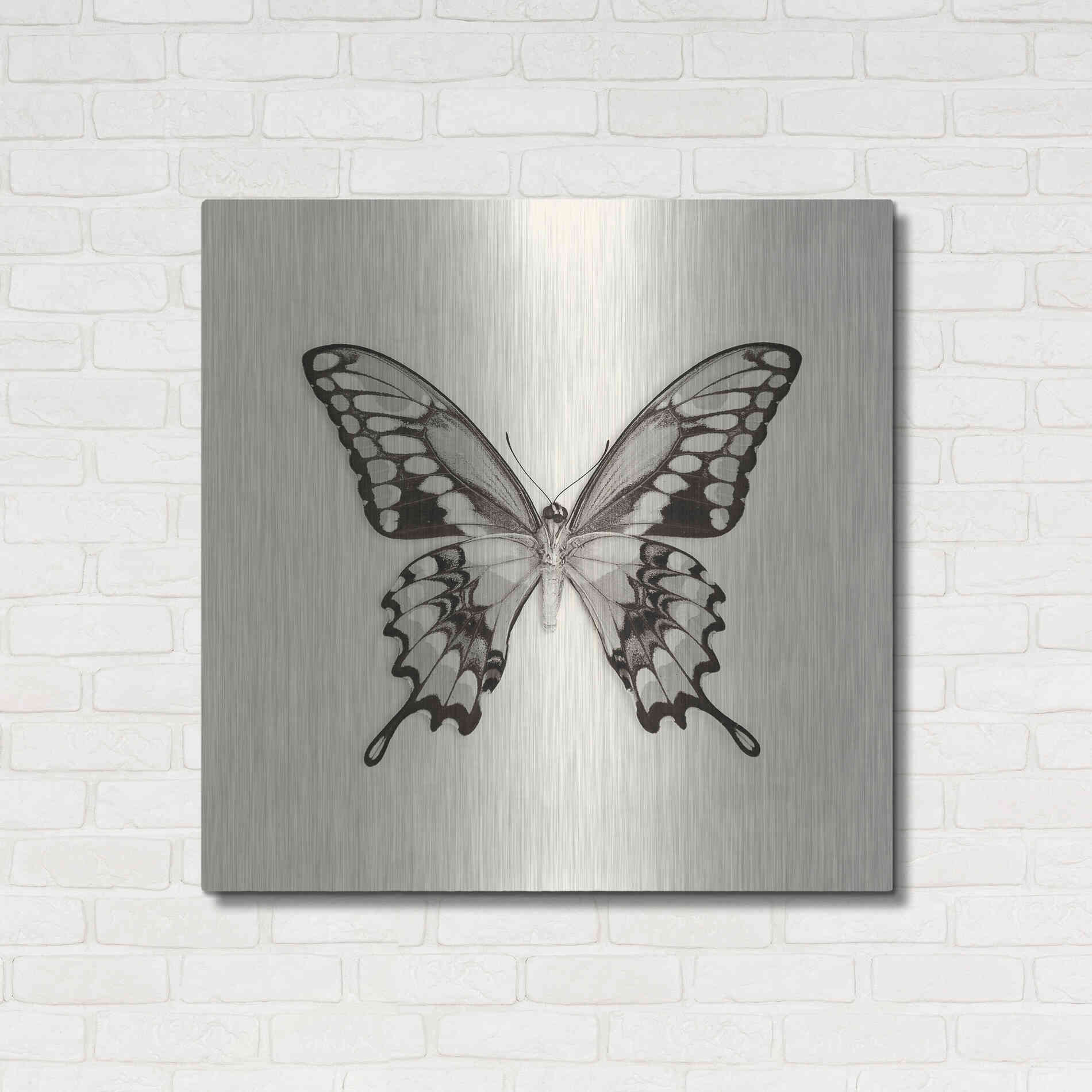 Luxe Metal Art 'Butterfly VI B&W' by Debra Van Swearingen, Metal Wall Art,36x36